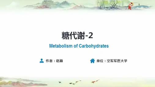 第五章  糖代谢  第五~八节【生物化学与分子生物学 9版原版】