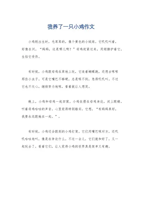 我养了一只小鸡作文