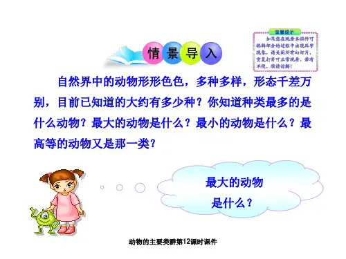 动物的主要类群第12课时课件