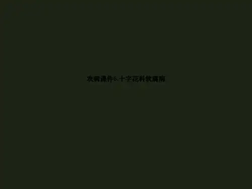 农病课件6.十字花科软腐病