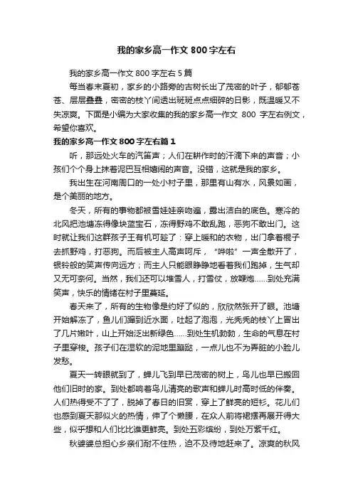 我的家乡高一作文800字左右
