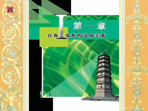 北师大版九下《从梯子的倾斜程度谈起》微型课课件