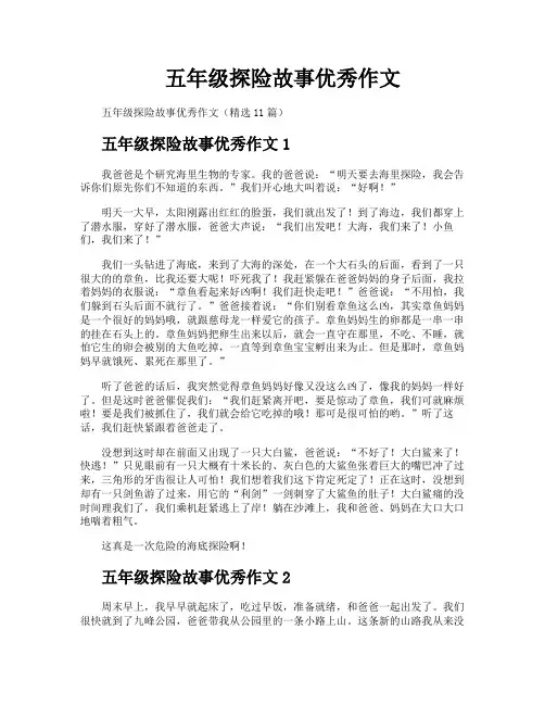 五年级探险故事优秀作文