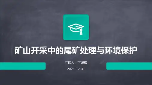 矿山开采中的尾矿处理与环境保护