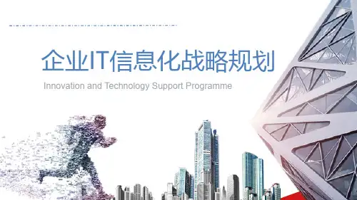 大型企业IT信息化战略规划