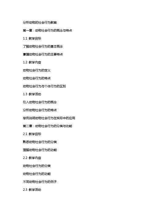 分析动物的社会行为教案