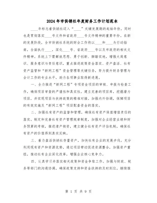 2024年市供销社年度财务工作计划范本(六篇)