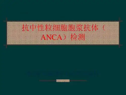 抗中性粒细胞胞浆抗体ANCAppt课件