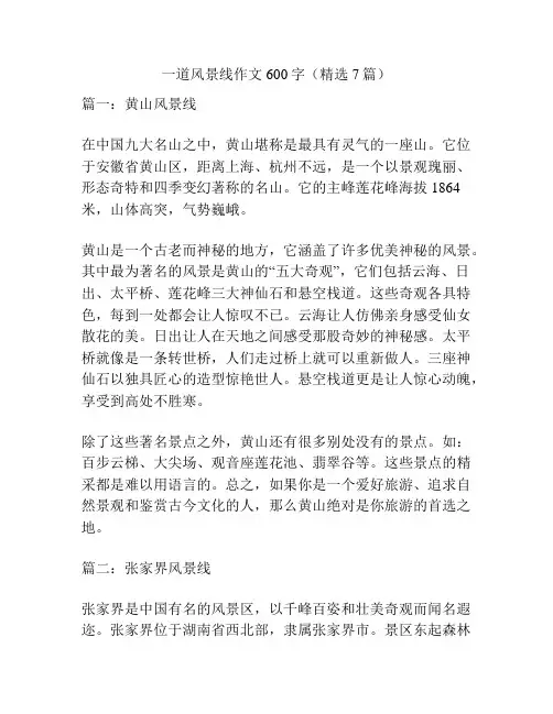 一道风景线作文600字(精选7篇)