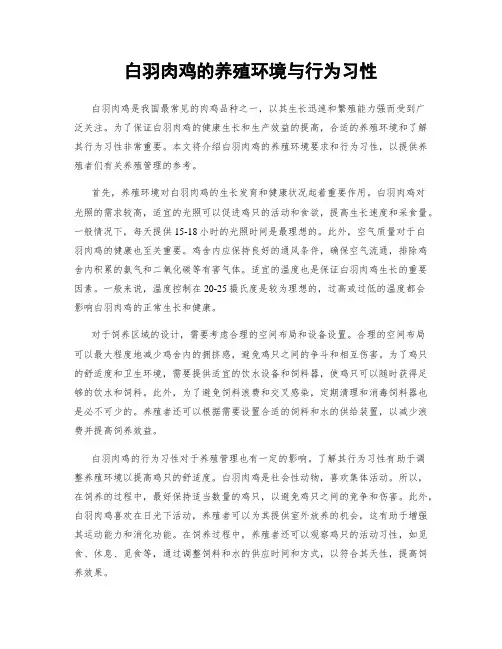 白羽肉鸡的养殖环境与行为习性