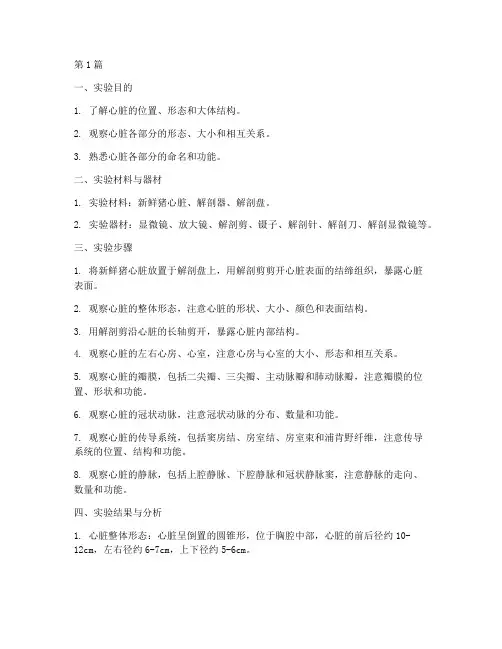 心脏大体结构实验报告(3篇)