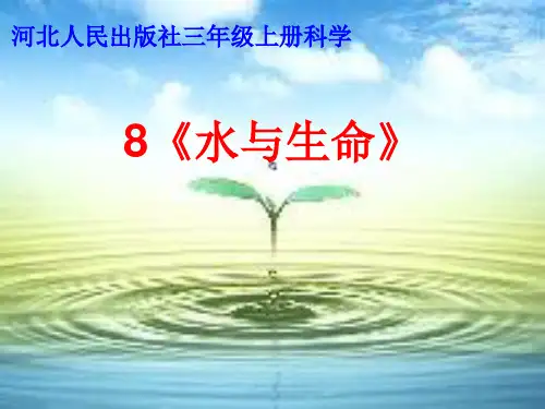 三年级上册科学-水与生命