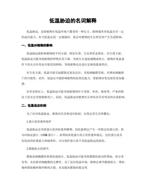 低温胁迫的名词解释