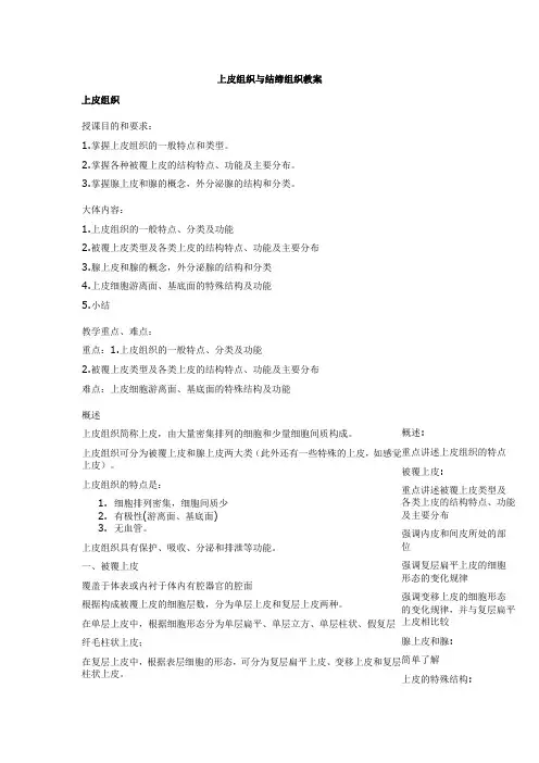 上皮组织与结缔组织教案