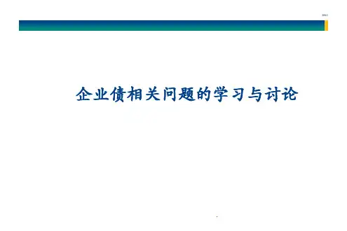 企业债建议书(经典)PPT资料20页