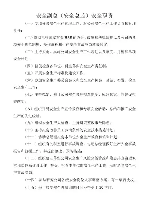 安全副总(安全总监)安全职责