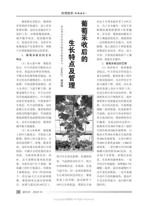 葡萄采收后的生长特点及管理