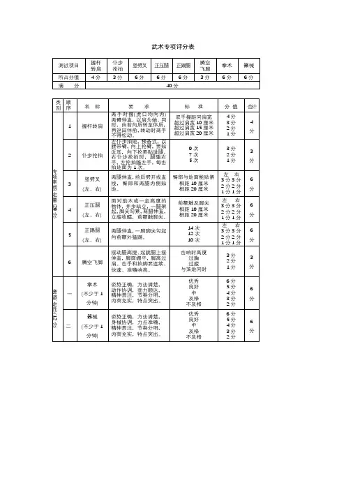 武术专项评分表【模板】