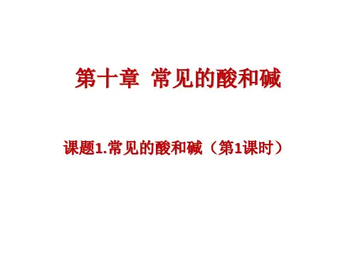 第十章  常见的酸和碱复习导学案