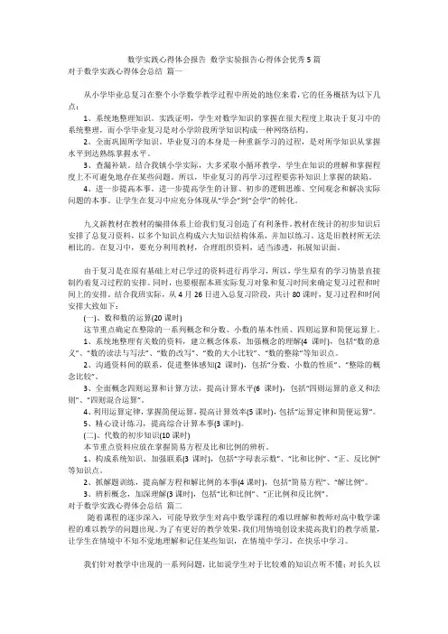 数学实践心得体会报告 数学实验报告心得体会优秀5篇