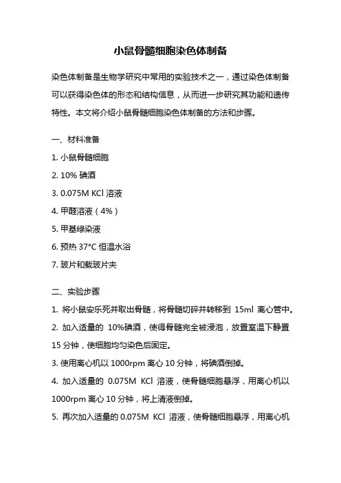 小鼠骨髓细胞染色体制备
