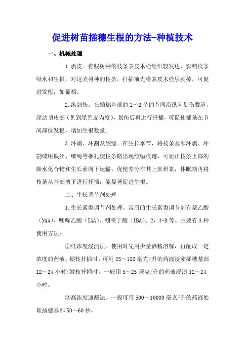 促进树苗插穗生根的方法 - 种植技术