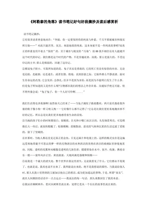 《阿勒泰的角落》读书笔记好句好段摘抄及读后感赏析