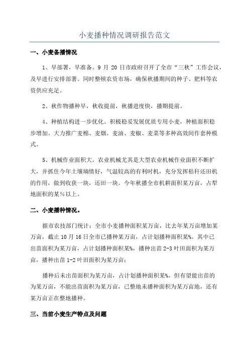 小麦播种情况调研报告范文