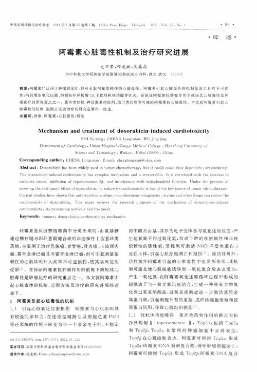 阿霉素心脏毒性机制及治疗研究进展