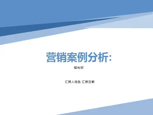 樱桃树公司营销案例分析