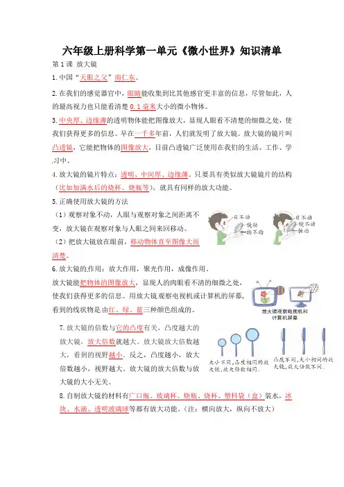 教科版小学六年级科学上册第一单元《微小世界》知识点