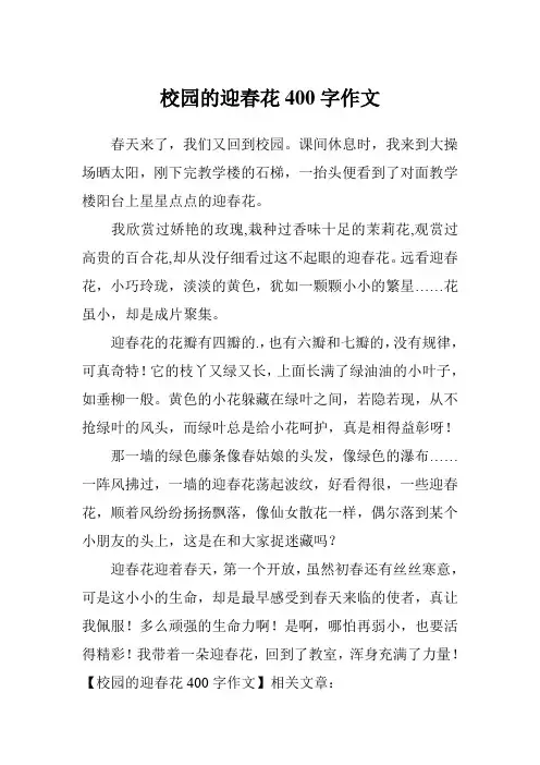 校园的迎春花400字作文