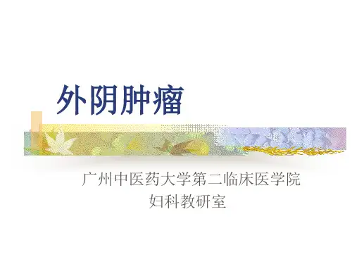 中西医结合 外阴肿瘤