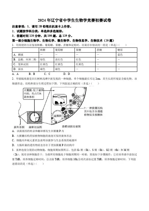 2024年辽宁省中学生生物学学科竞赛初赛真题试卷(无答案)