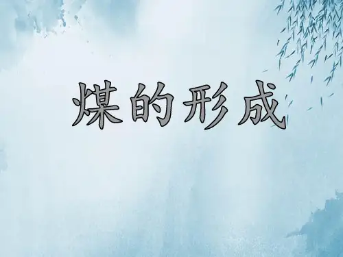 煤的形成课件