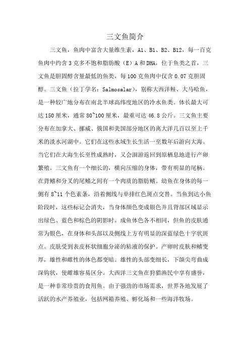 三文鱼简介