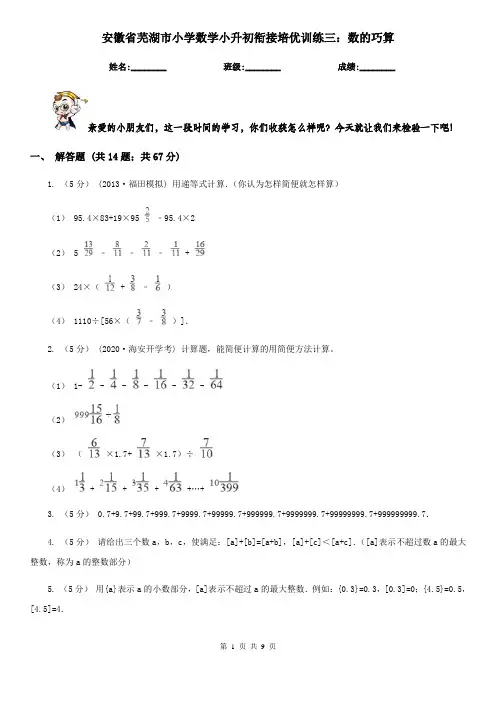 安徽省芜湖市小学数学小升初衔接培优训练三：数的巧算