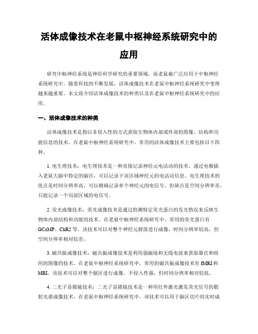 活体成像技术在老鼠中枢神经系统研究中的应用