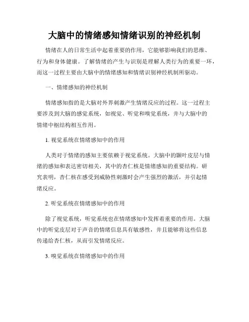 大脑中的情绪感知情绪识别的神经机制