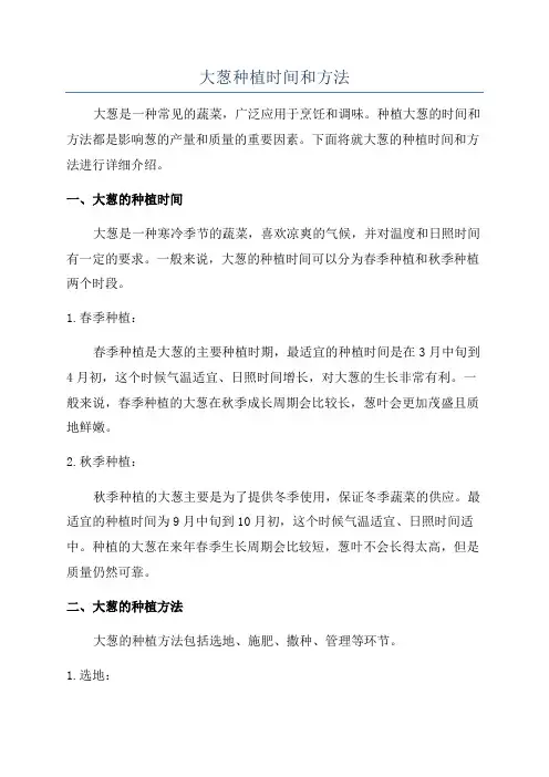 大葱种植时间和方法