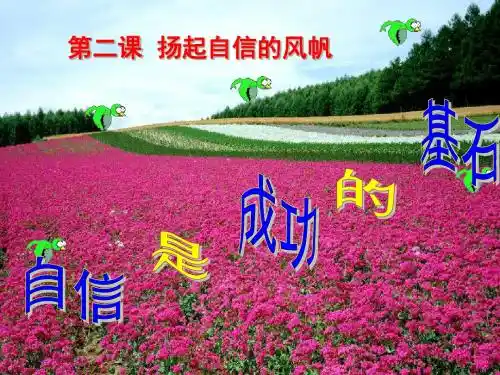 《自信是成功的基石》教学课件