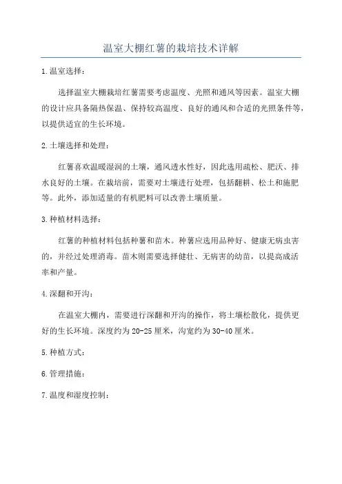 温室大棚红薯的栽培技术详解