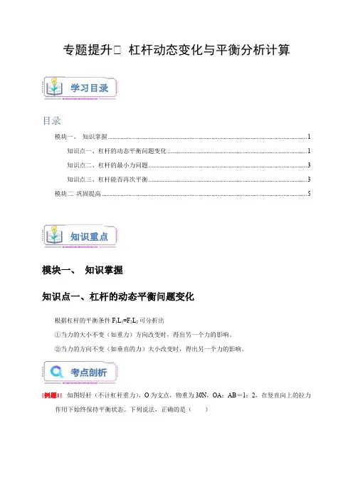 专题提升Ⅰ杠杆动态变化与平衡分析计算(原卷版)