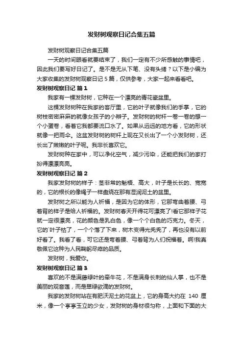 发财树观察日记合集五篇