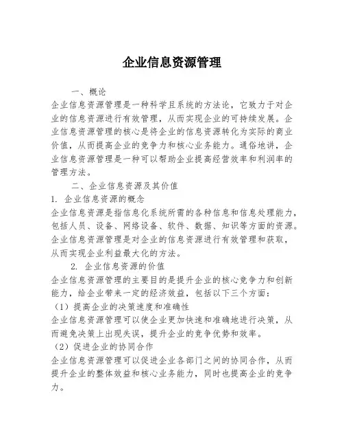 企业信息资源管理