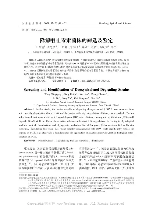 降解呕吐毒素菌株的筛选及鉴定