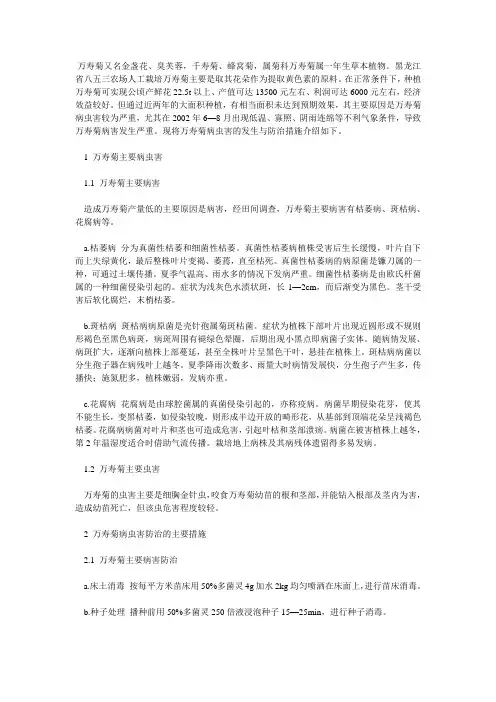 万寿菊又名金盏花