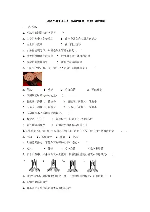 七年级生物下4.4.2《血流的管道--血管》课时练习(有答案)