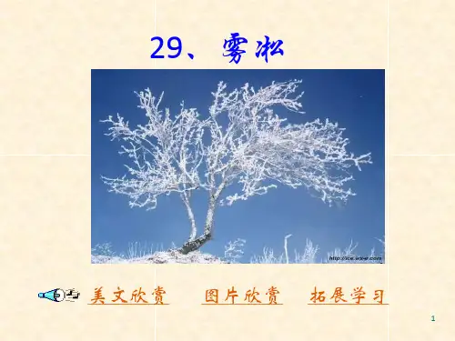 《雾凇ppt课件