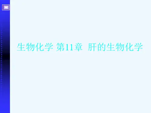 生物化学 第11章  肝的生物化学[可修改版ppt]